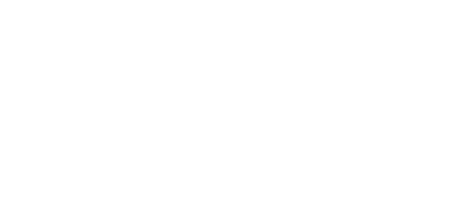 Uzman Posta